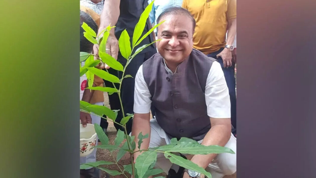 Assam towards greener future: Plants 1 crore trees in the state Assam towards greener future: Plants 1 crore trees in the state