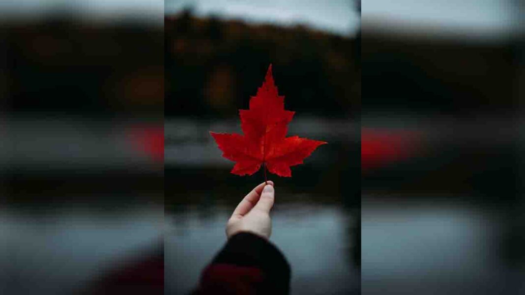 Apply for Top Ph.D. Scholarships in Canada! Apply for Top Ph.D. Scholarships in Canada!