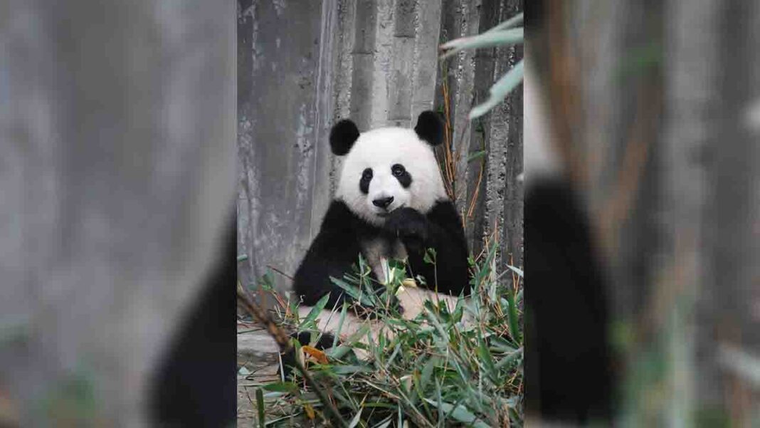 The significance of wildlife… The significance of wildlife…