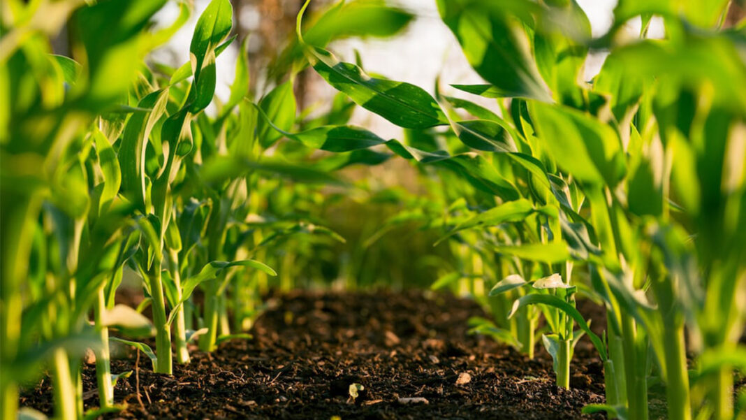 Climate Impact on Australian Agriculture Climate Impact on Australian Agriculture