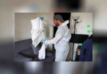 Battling Bed Bug Infestation in…