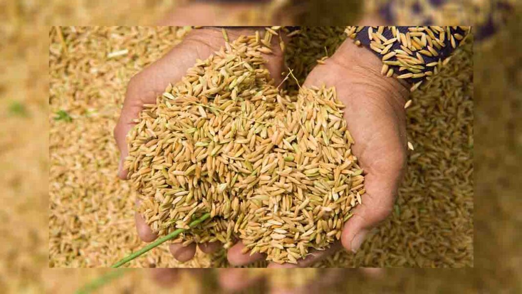 Bangladesh attains self-sufficiency… Bangladesh attains self-sufficiency…