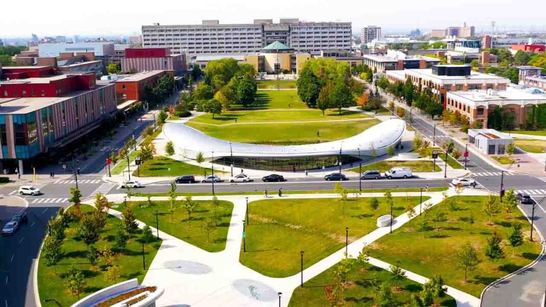 Get your York University Scholarship now! Get your York University Scholarship now!