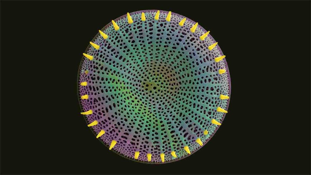 Recent microbial discoveries are… Recent microbial discoveries are…