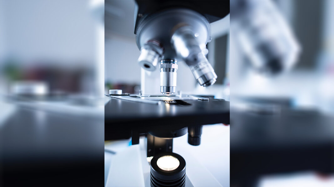 Gene therapy may pave way… Gene therapy may pave way…