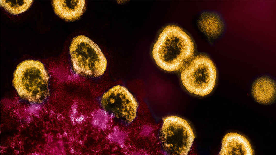 New Discoveries Reveal the Persistent… New Discoveries Reveal the Persistent…