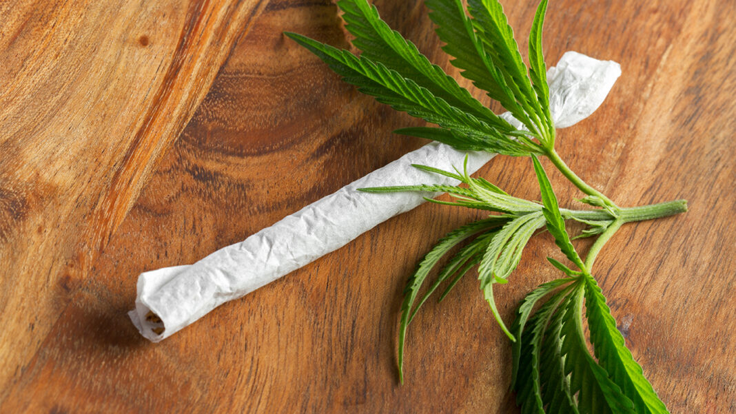 Five years after legalization Canadian cannabis… Five years after legalization Canadian cannabis…