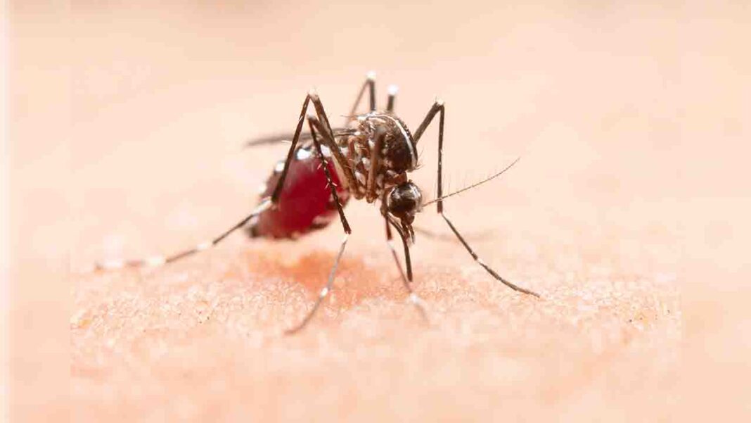 Malaria, major child killer… Malaria, major child killer…