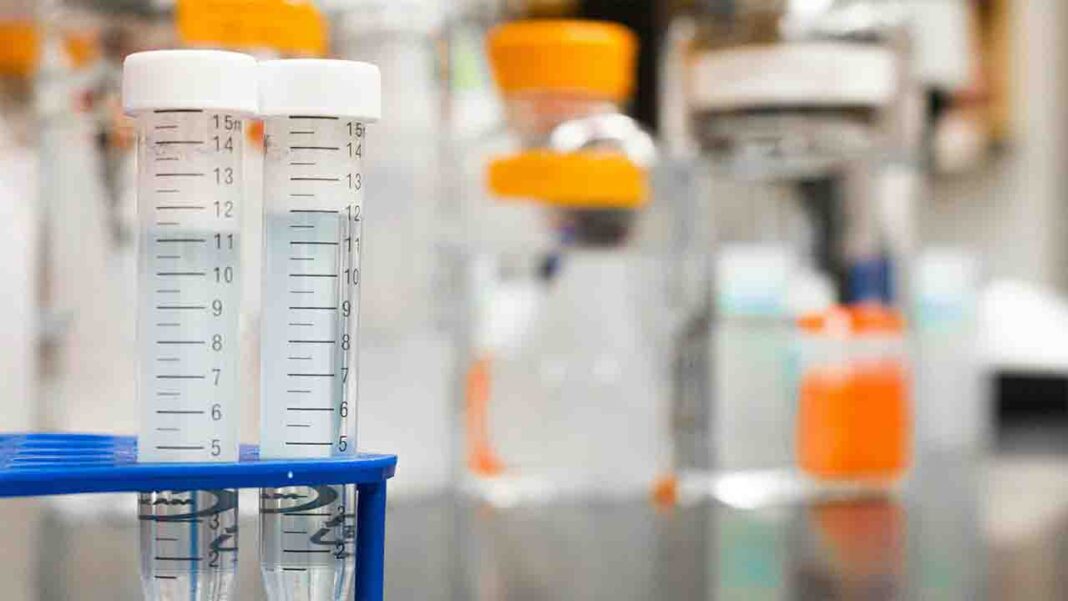 New material for human tissue cultivation New material for human tissue cultivation