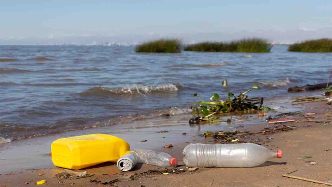 Marine Debris colonized by… species Marine Debris colonized by… species