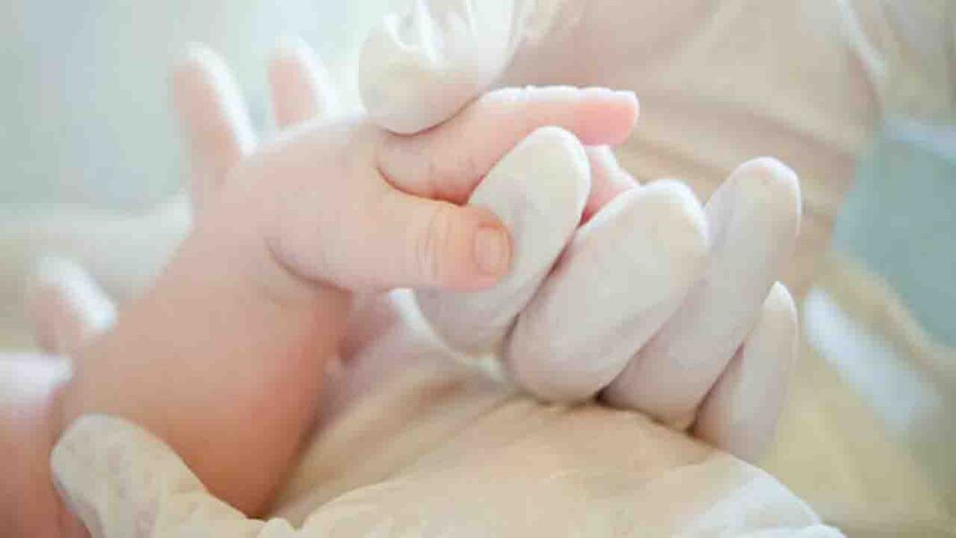 AI Boosts IVF Success AI Boosts IVF Success