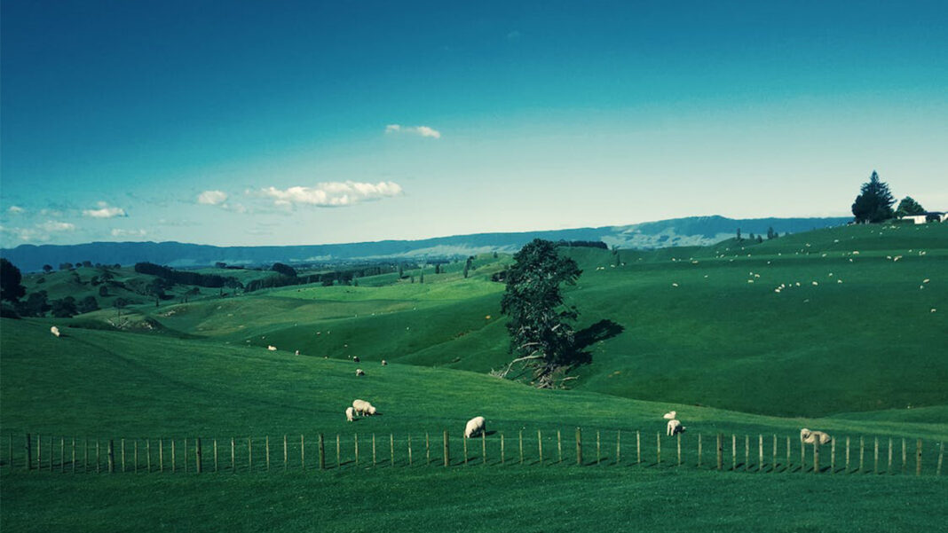 New Zealand launches new… New Zealand launches new…