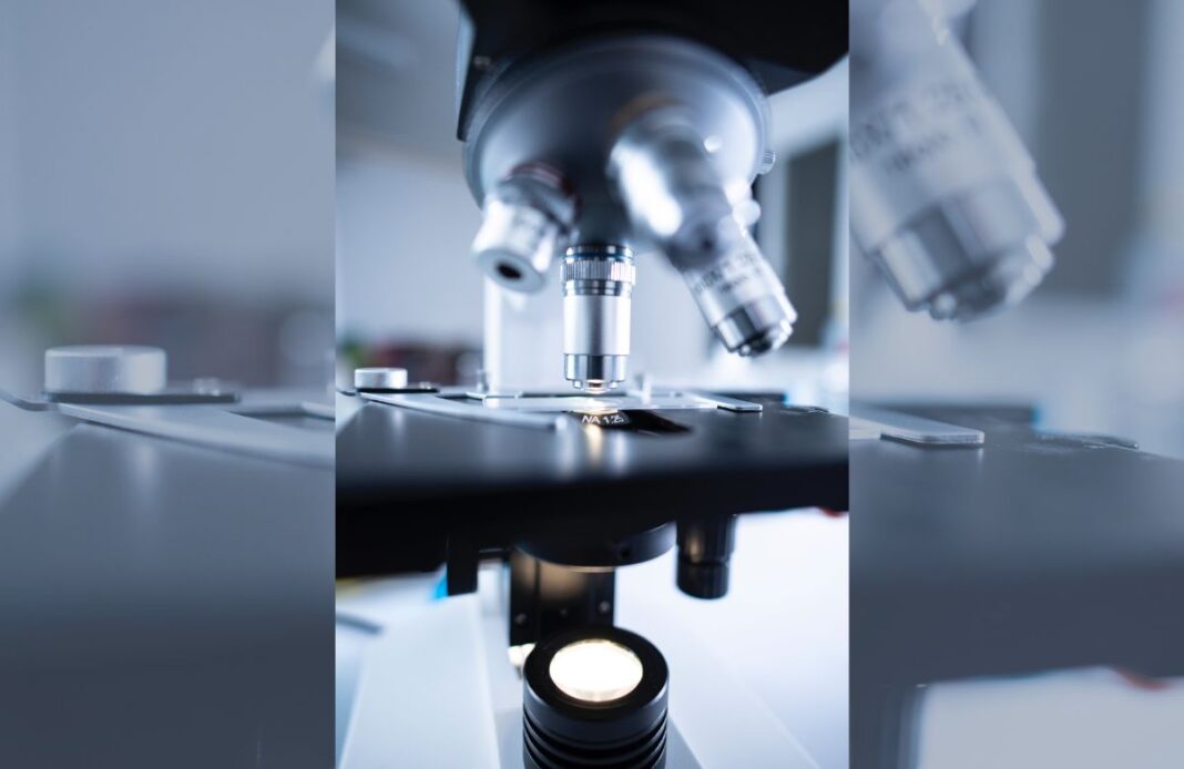 Why are scientists forming synthetic yeast genome? Why are scientists forming synthetic yeast genome?