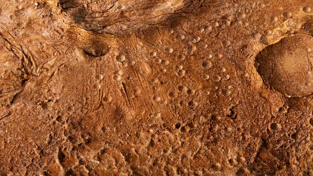 Creating Oxygen in Mars by an AI chemist Creating Oxygen in Mars by an AI chemist