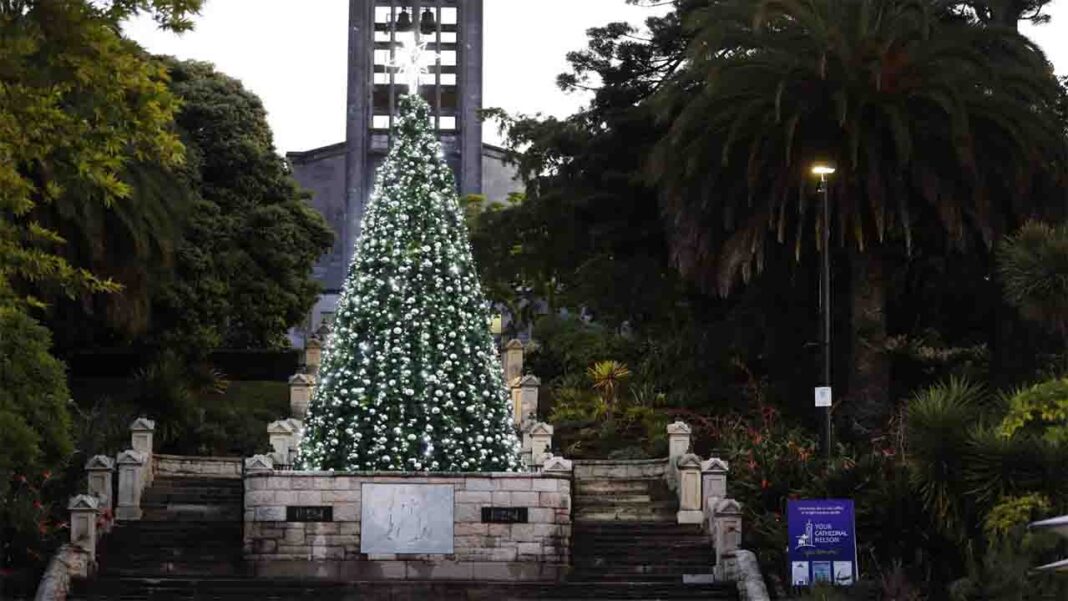 Nelson’s Grand Christmas Tree erected Nelson’s Grand Christmas Tree erected