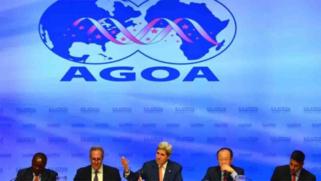 The US-Africa program should be extended until 2041, Democratic Senator The US-Africa program should be extended until 2041, Democratic Senator
