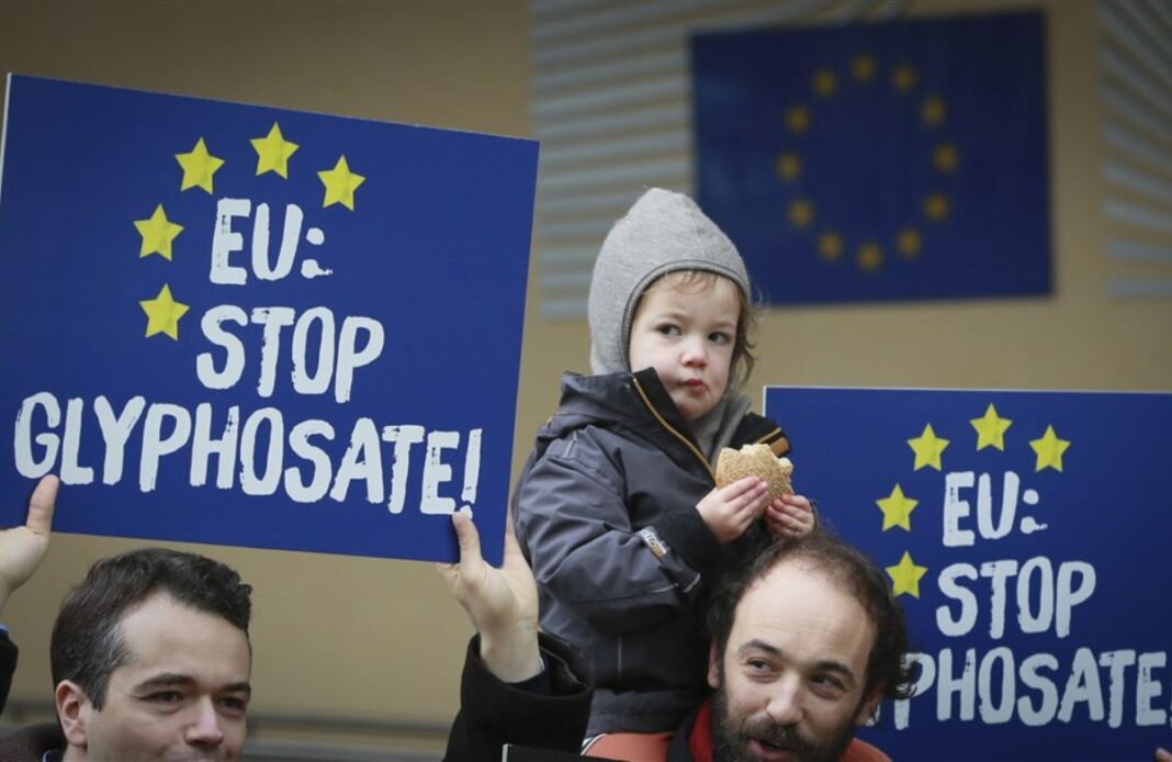 Brussels Extends Glyphosate Use Across EU for Another Decade as Member States Fail to Reach Agreement Brussels Extends Glyphosate Use Across EU for Another Decade as Member States Fail to Reach Agreement