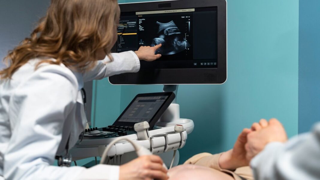 An incredible insight of human limb development revealed An incredible insight of human limb development revealed