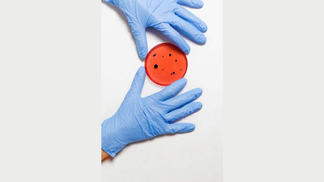Genes associated with antibiotic resistance are disseminated among bacteria to a greater extent than previously believed Genes associated with antibiotic resistance are disseminated among bacteria to a greater extent than previously believed