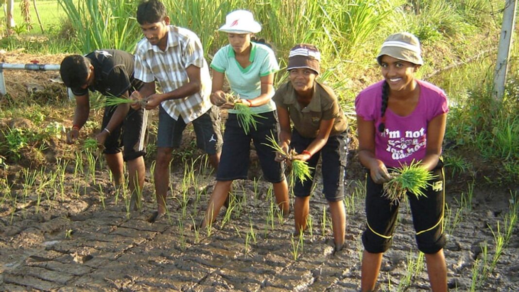 SL youth encouraged to take up Agriculture SL youth encouraged to take up Agriculture