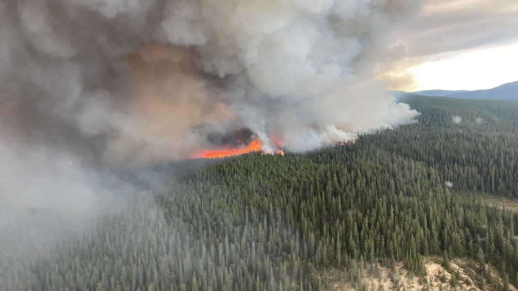 Canada responsible for 25% of the world’s wildfire emissions in 2023 Canada responsible for 25% of the world’s wildfire emissions in 2023