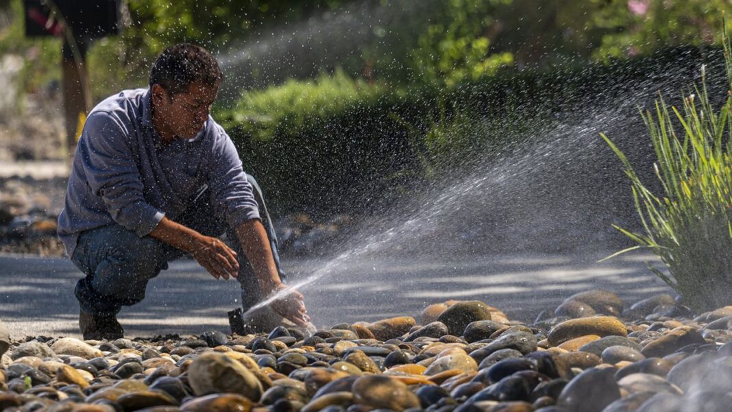 Innovative practices carry hope for farmers Innovative practices carry hope for farmers