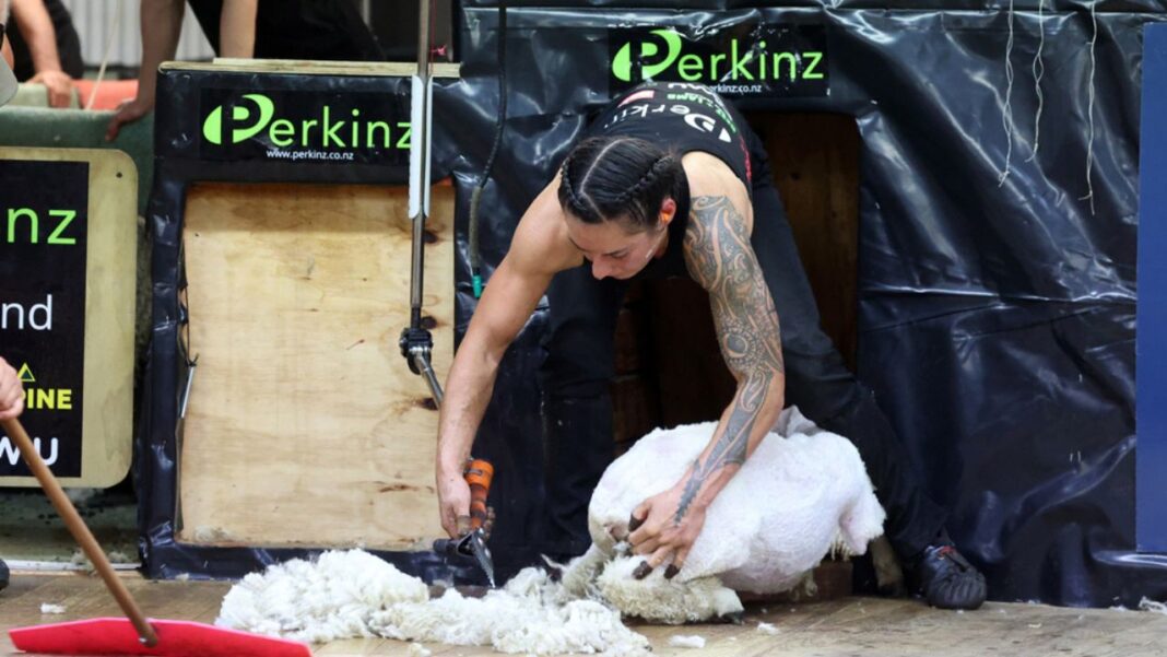 Sacha Bond wins shearing marathon Sacha Bond wins shearing marathon