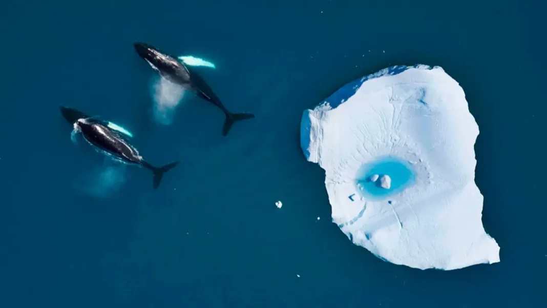 Arctic records alarming warmth in 2023 Arctic records alarming warmth in 2023
