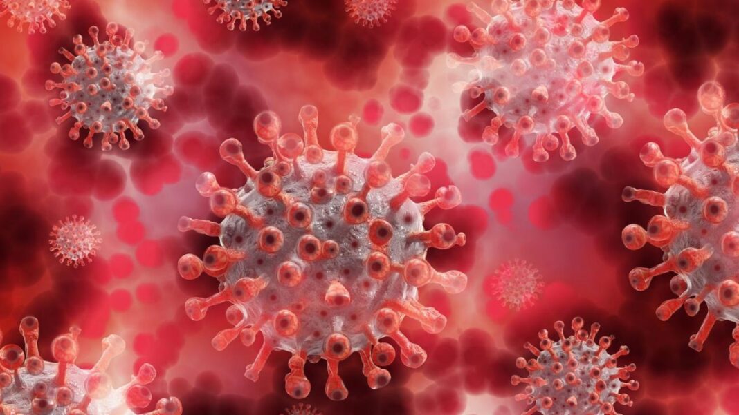 Grenada has witnessed a rise in COVID-19 cases Grenada has witnessed a rise in COVID-19 cases
