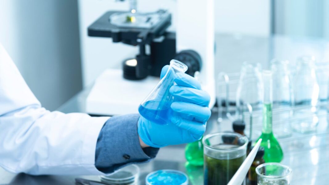 Research shows novel functions of the gut hormone GLP-1 within the brain Research shows novel functions of the gut hormone GLP-1 within the brain