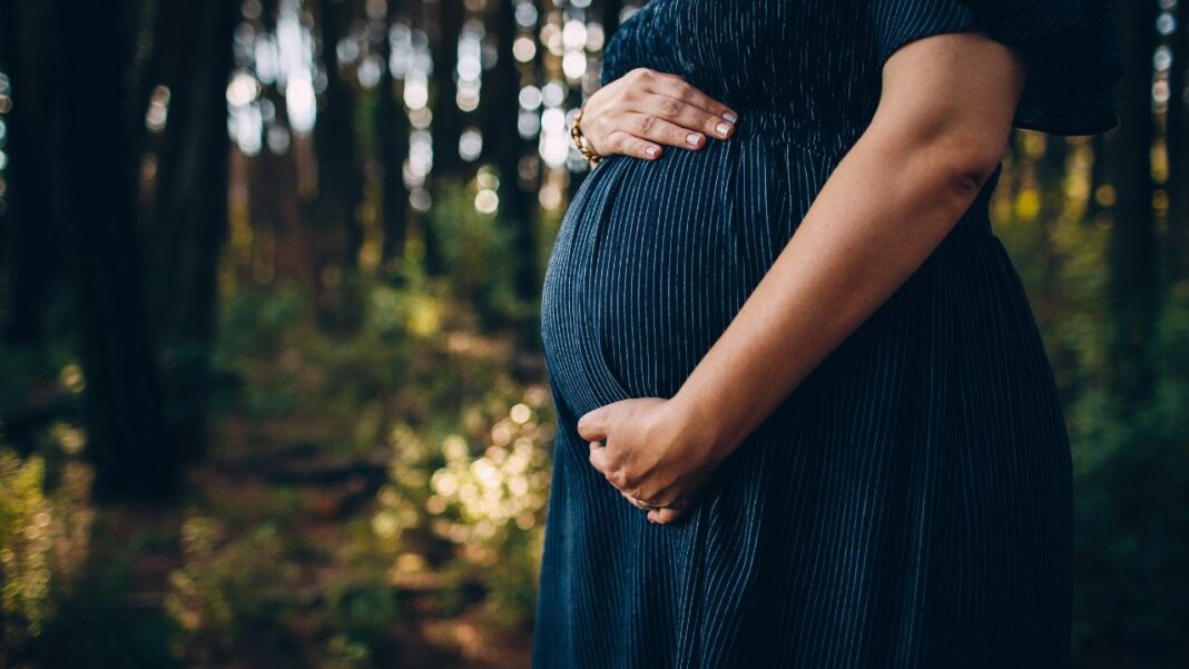 Vital nutrients absent during pregnancy Vital nutrients absent during pregnancy