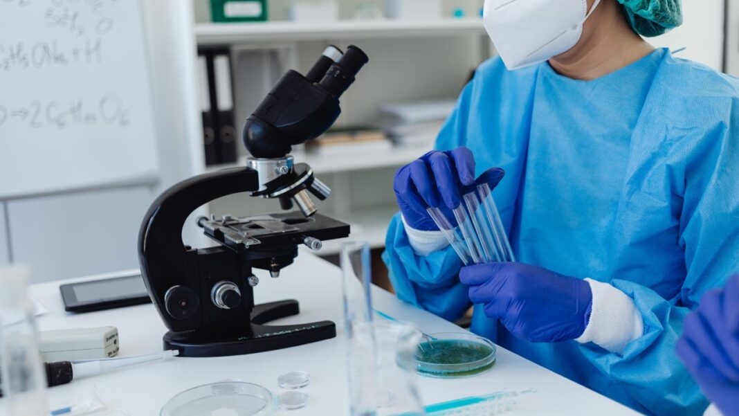 Researchers find new hope in combatting artery blocking fat Researchers find new hope in combatting artery blocking fat