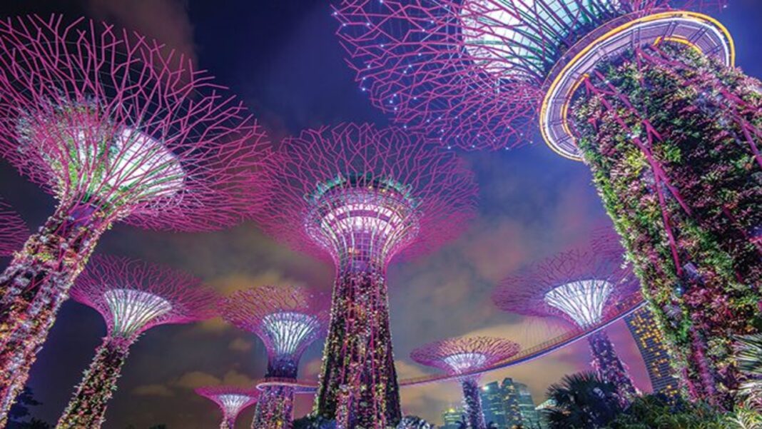 Scotch and Gin exports soar in Singapore Scotch and Gin exports soar in Singapore