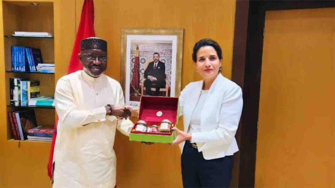 Nigeria and Morocco’s Gas Pipeline Project to Launch Nigeria and Morocco’s Gas Pipeline Project to Launch