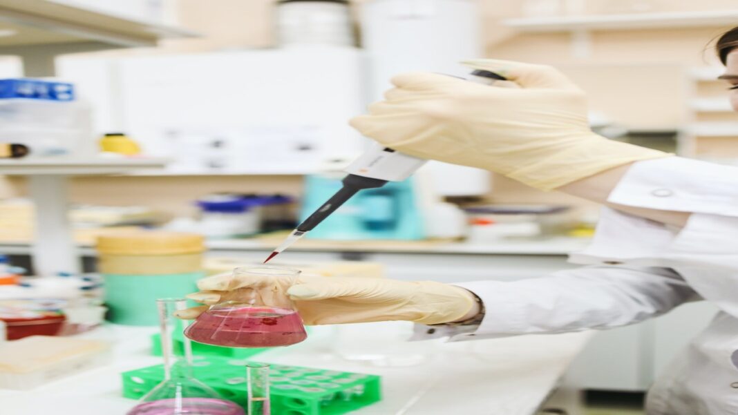 Scientists identify mechanism contributing to persistence of TB bacteria Scientists identify mechanism contributing to persistence of TB bacteria