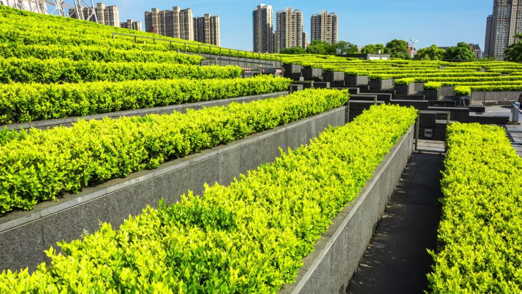 FEEDING THE FUTURE: URBAN FARMING ENHANCES FOOD SECURITYÂ Â FEEDING THE FUTURE: URBAN FARMING ENHANCES FOOD SECURITYÂ Â