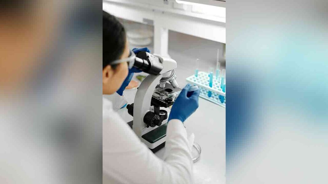 What role will stem cell exhaustion play in antiaging ? What role will stem cell exhaustion play in antiaging ?