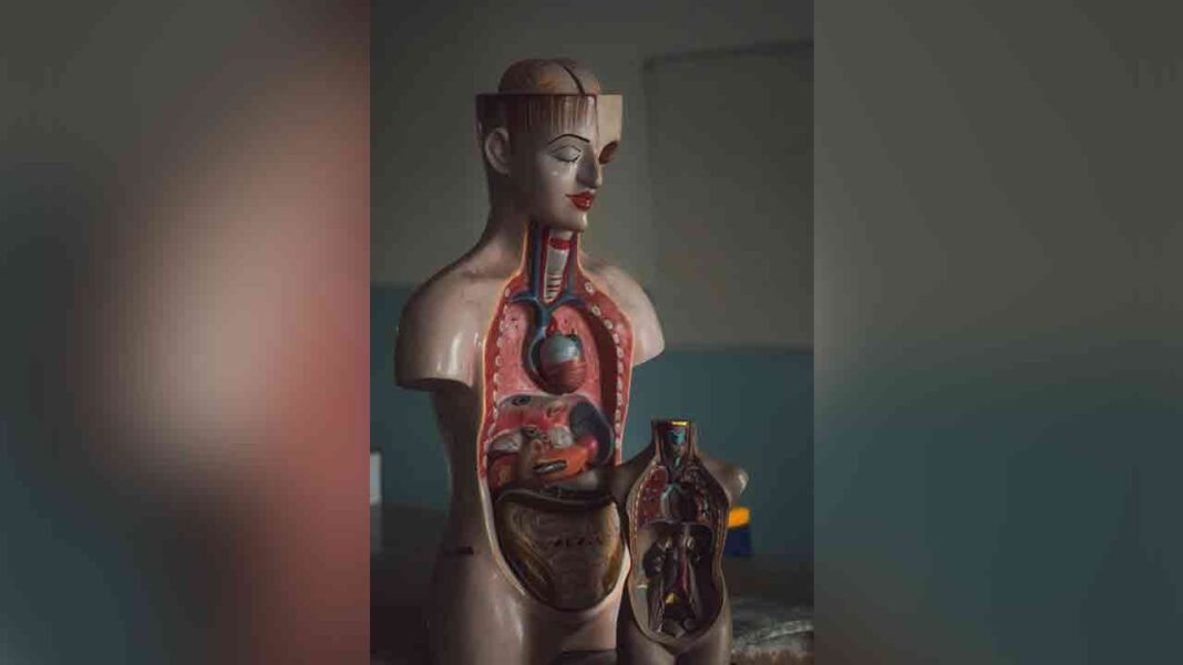 Gut microbiome: a focal point to detect health Gut microbiome: a focal point to detect health