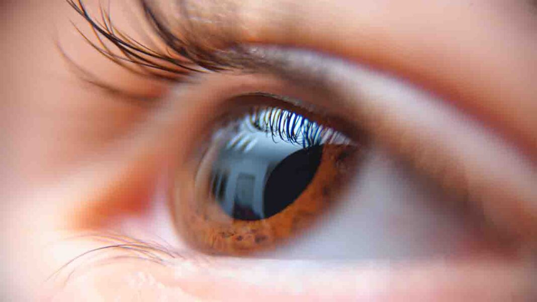 Tree compound to heal eye infections Tree compound to heal eye infections