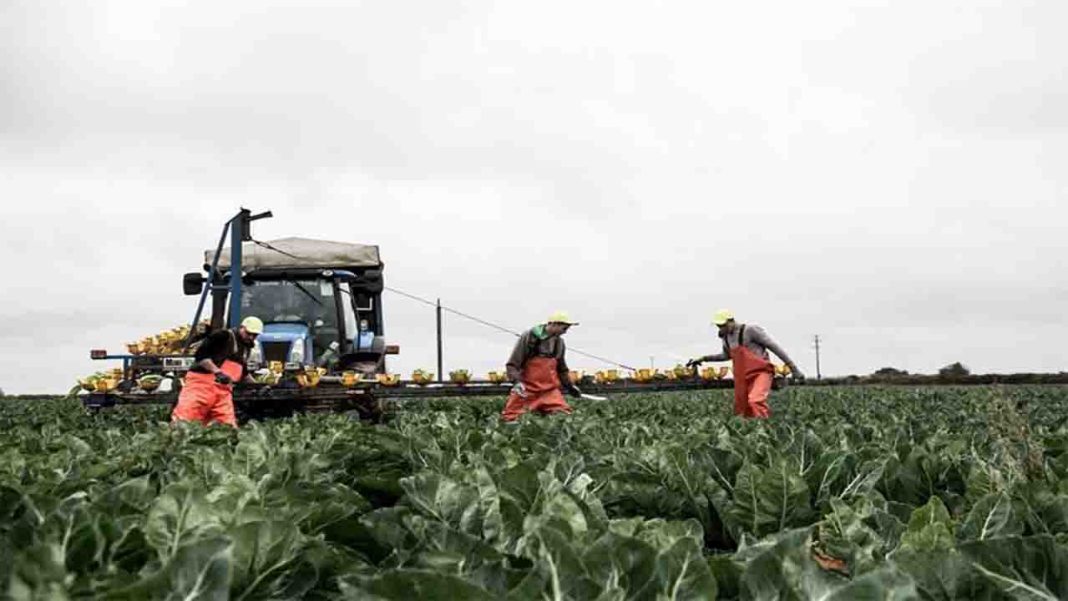NFU’s urgent call NFU’s urgent call