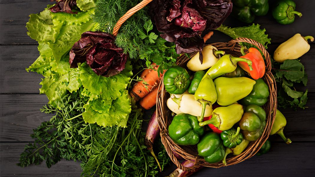 Healthy plant-based diets to reduce sleep apnea Healthy plant-based diets to reduce sleep apnea