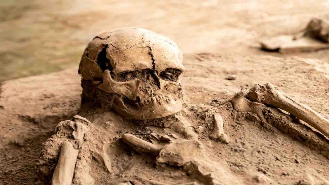 Ancient DNA reveals early chromosomal disorders Ancient DNA reveals early chromosomal disorders