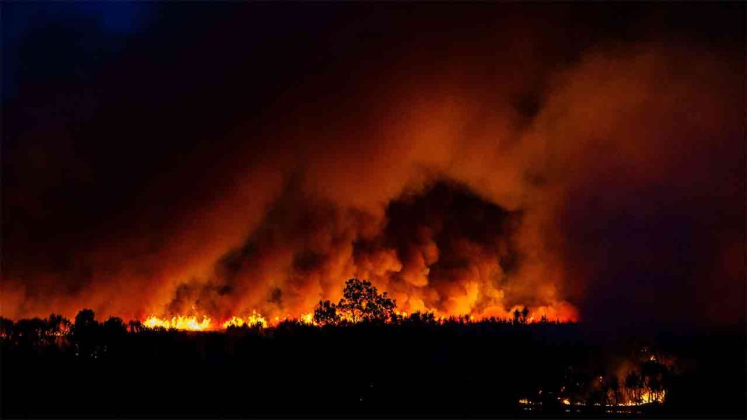 Bushfire Emergency in Australia Bushfire Emergency in AustraliaÂ