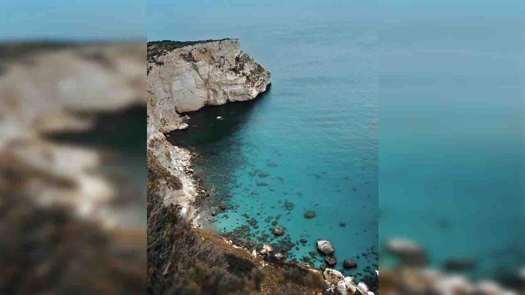 Exploring longevity in the blue zone of Sardinia Exploring longevity in the blue zone of Sardinia