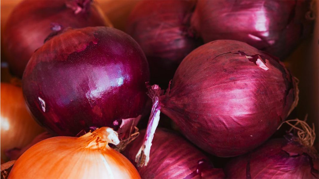 Onion exports restricted Onion exports restricted