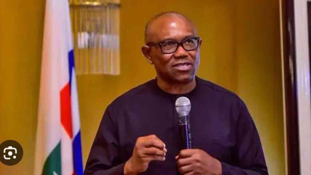 ‘New Nigeria’ – Peter’s vision ‘New Nigeria’ – Peter’s vision