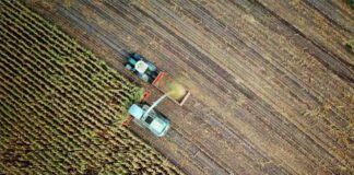 Decarbonisation Dilemma