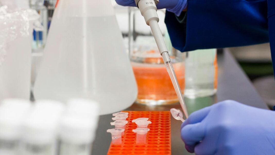 Re-purposing cancer drugs for Glioblastoma Re-purposing cancer drugs for Glioblastoma