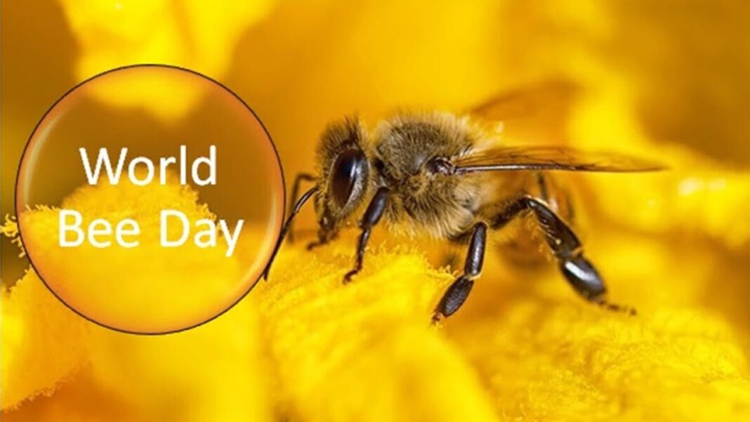 World Bee Day: Protecting Our Pollinators for a Sustainable Future World Bee Day: Protecting Our Pollinators for a Sustainable Future