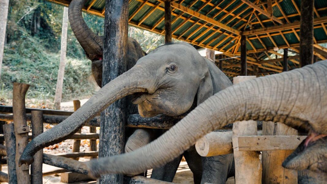Sri Lanka – Â second ‘Most popular travel destination in Asia’ Sri Lanka – Â second ‘Most popular travel destination in Asia’